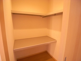 Other. You can walk-in closet has plenty of storage.