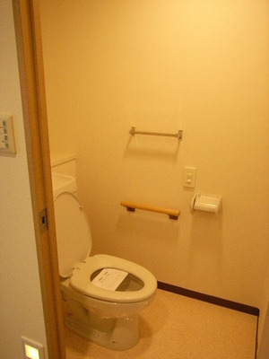 Toilet. Typical indoor photo. There is a convenient storage space in the toilet