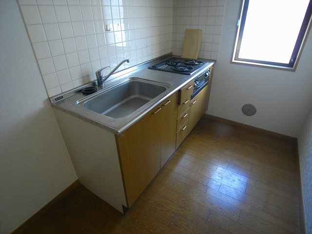 Kitchen. Gas stove with a kitchen