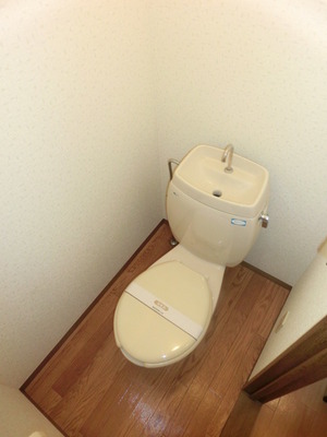 Toilet. Separated toilet