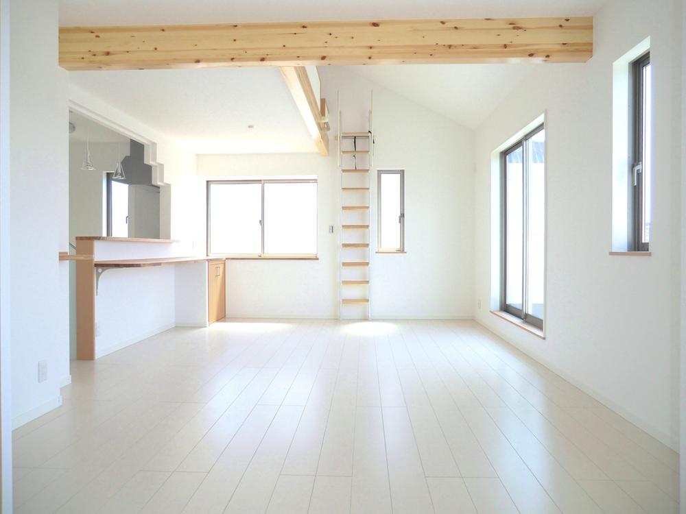 Living. Indoor (April 2013) Shooting