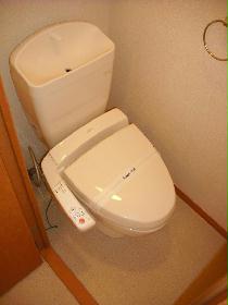 Toilet. Warm water washing toilet seat