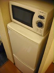 Kitchen. A microwave and a fridge of a two-door type