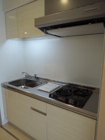 Kitchen. Also spread the width of the dishes in the two-burner stove Installed