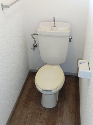 Toilet. Toilet room with cleanliness