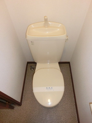 Toilet. Toilet