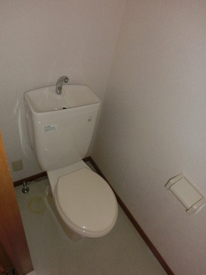 Toilet. A clean toilet room (same type)