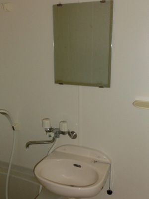 Washroom. Wash basin (same type)