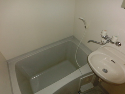 Bath. Spacious bathroom (same type)