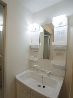 Washroom. Wide basin bowl, Easy-to-use shampoo dresser.