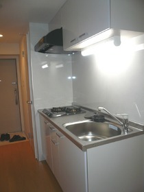 Kitchen. It comes with 2 lot gas stoves!