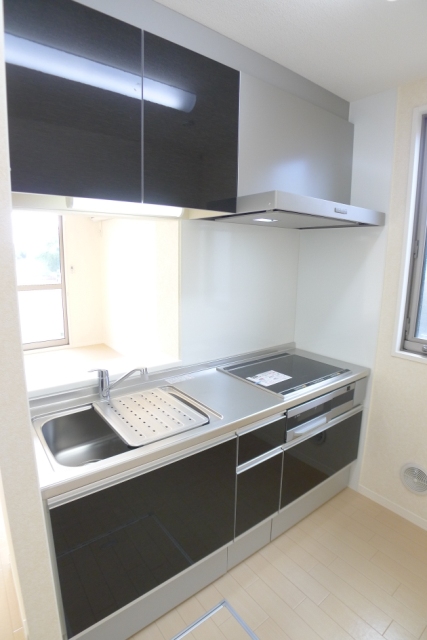 Kitchen. System kitchen is convenient in face-to-face