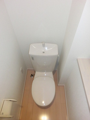 Toilet. Separated toilet