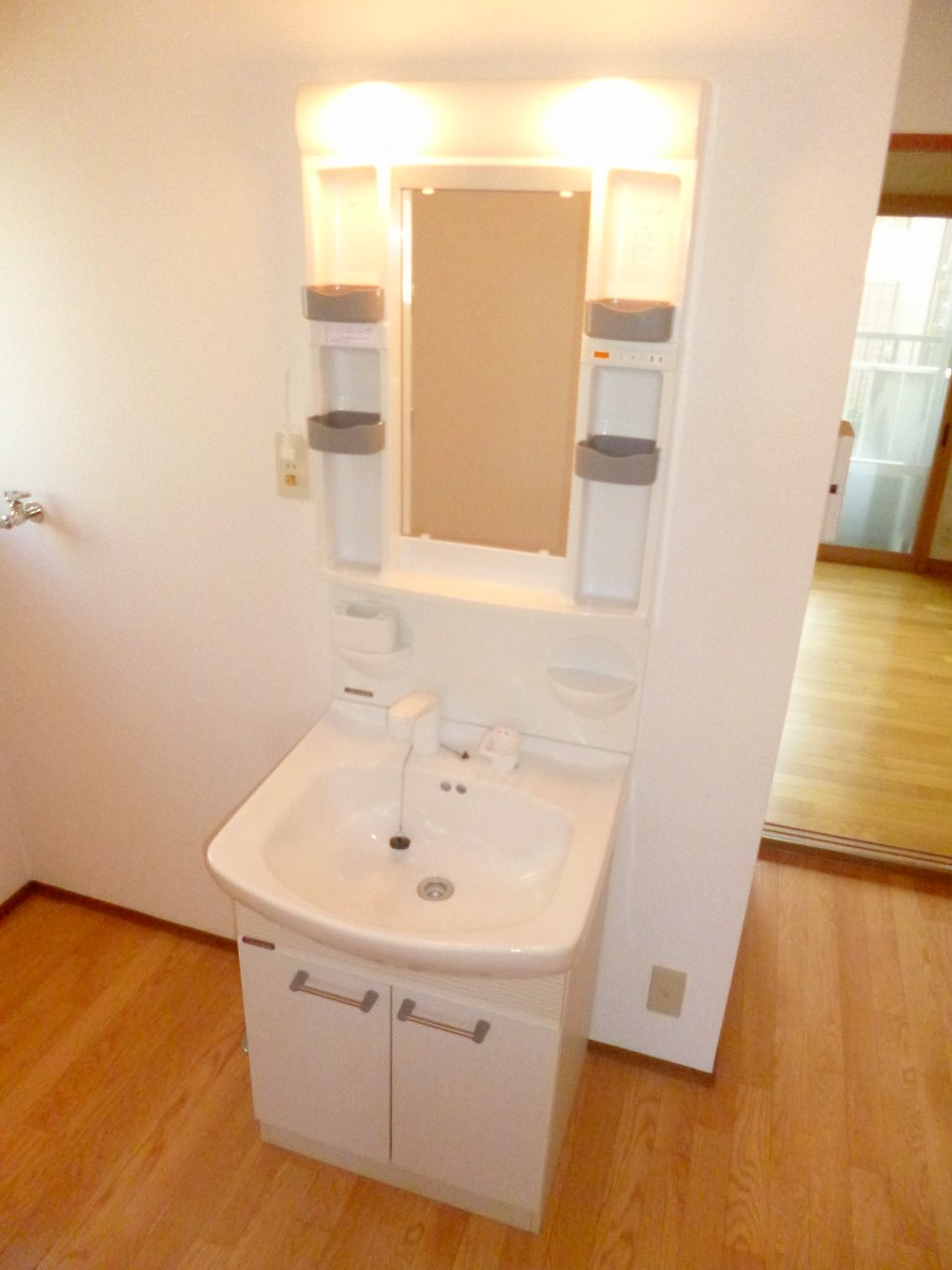 Washroom. Shampoo dresser