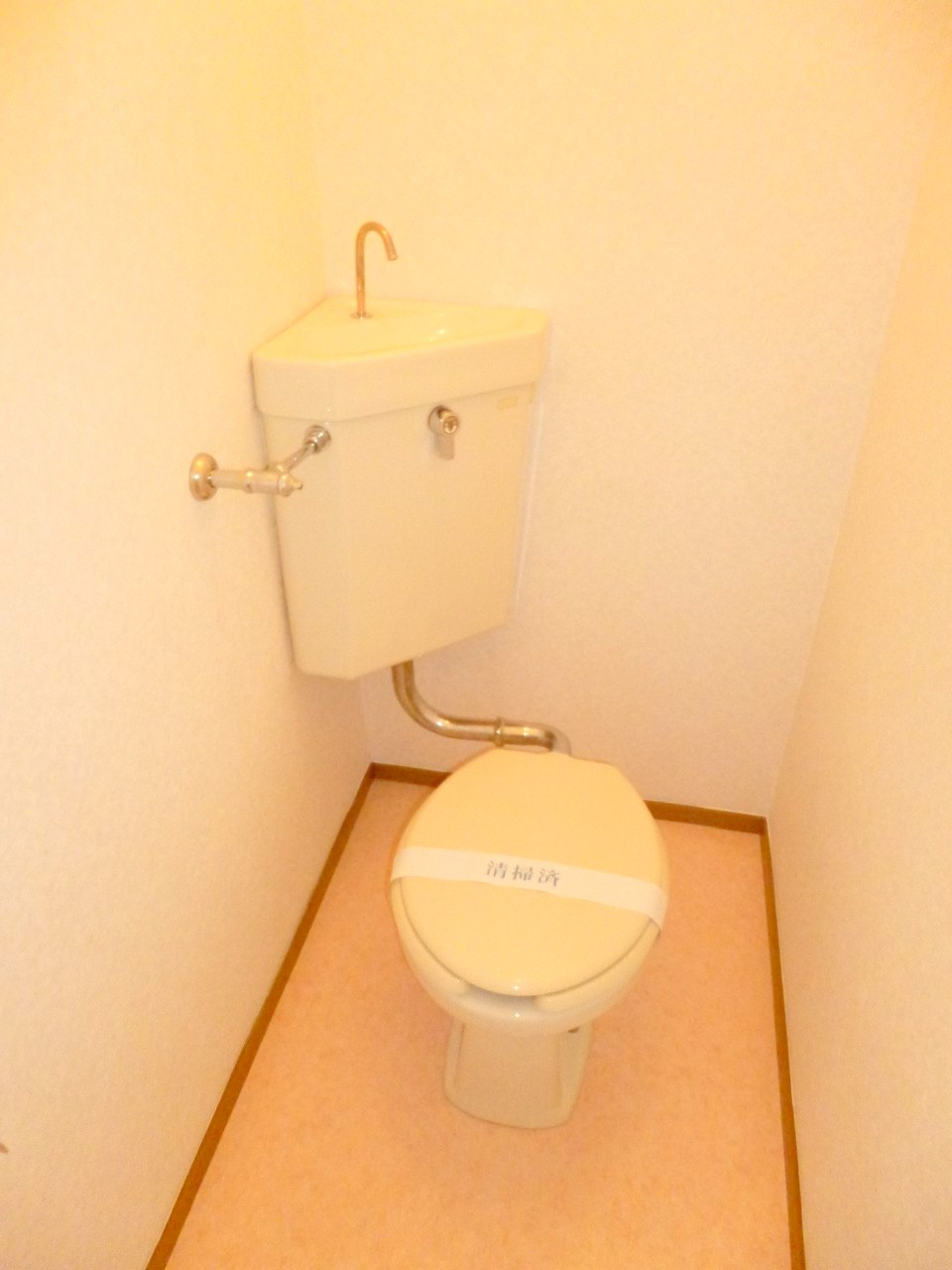 Toilet