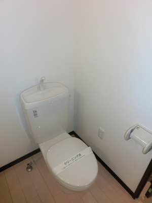 Toilet. Toilet with cleanliness