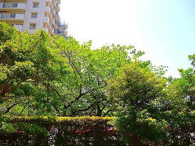 View photos from the dwelling unit