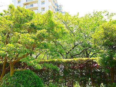 View photos from the dwelling unit