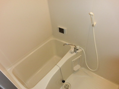 Bath. TV bathroom
