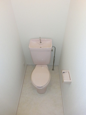 Toilet. Washlet mounting possible (same type)