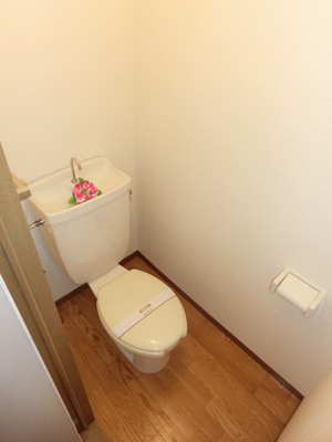 Toilet. Separated toilet