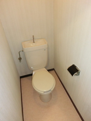 Toilet. Bidet can be installed (the same type)