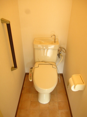 Toilet. Toilet with wash warm toilet seat