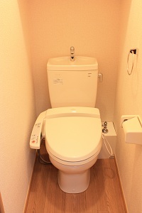 Toilet. With Washlet