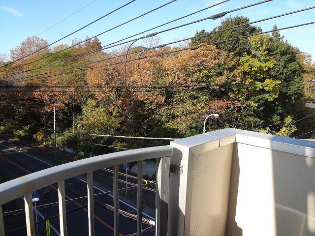 Balcony. It is a veranda. 