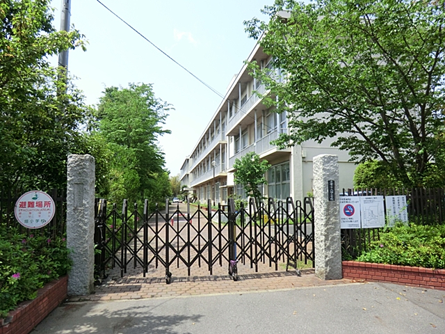 Primary school. 561m to Chiba Tatsuhatake elementary school (elementary school)