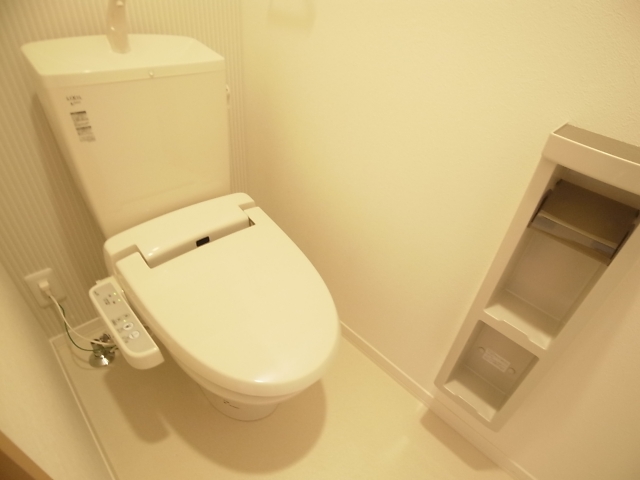 Toilet. Toilet seat with warm water washing Heating