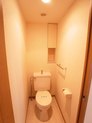 Toilet. There is a convenient hanging cupboard for storage, Full of clean toilet