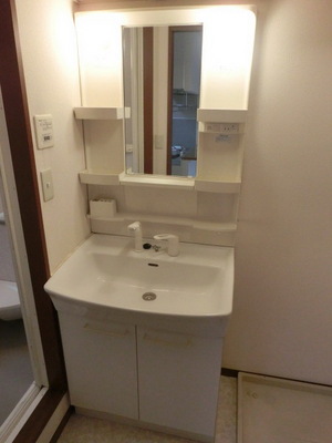 Washroom. With shampoo dresser