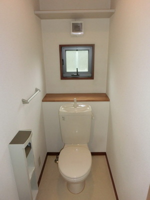 Toilet. There is also a shelf at the top