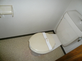 Toilet. It is an important space.