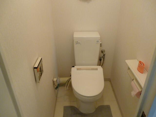 Toilet. Toilet renovated.