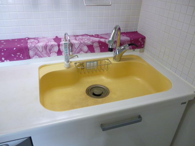 Kitchen. Stylish kitchen sink