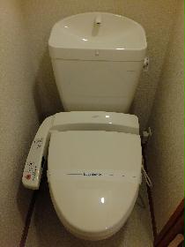 Toilet. Warm water washing toilet seat