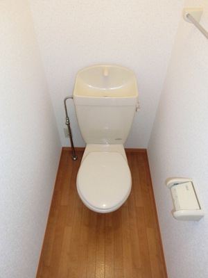 Toilet. Toilet (same type)