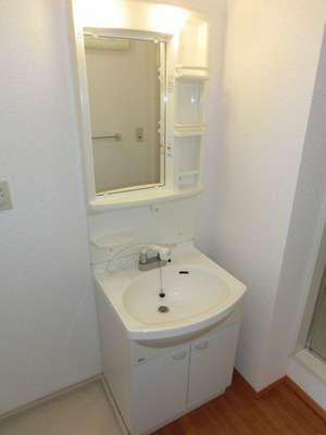 Washroom. Independent wash basin (the same type)