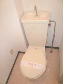 Toilet. It is an important space