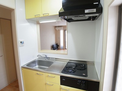 Kitchen. System kitchen