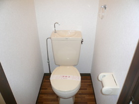 Toilet. For another, Room, It will be helpful photo. 