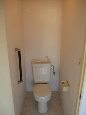 Toilet. Toilet with cleanliness