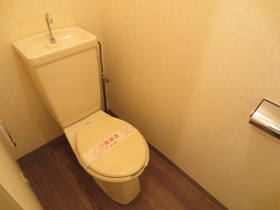 Toilet. Other Room No., It will be helpful photo.