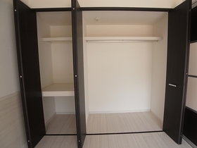 Other. Also substantial closet.