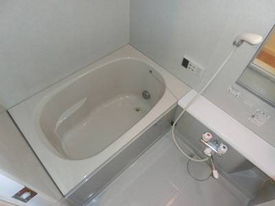 Bath. Bathroom with reheating