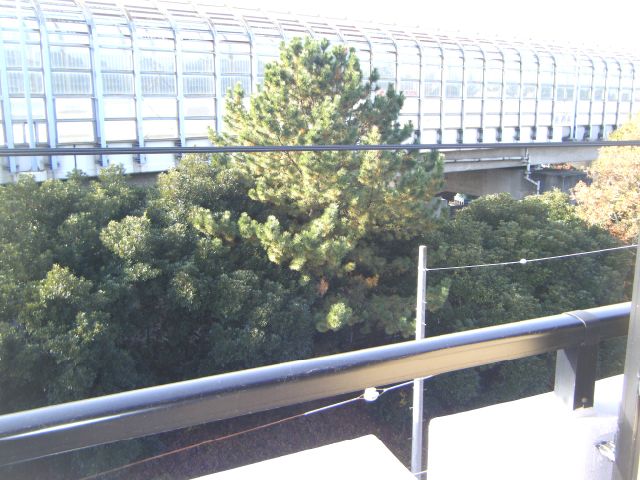 Balcony. There is green is a good landscape.