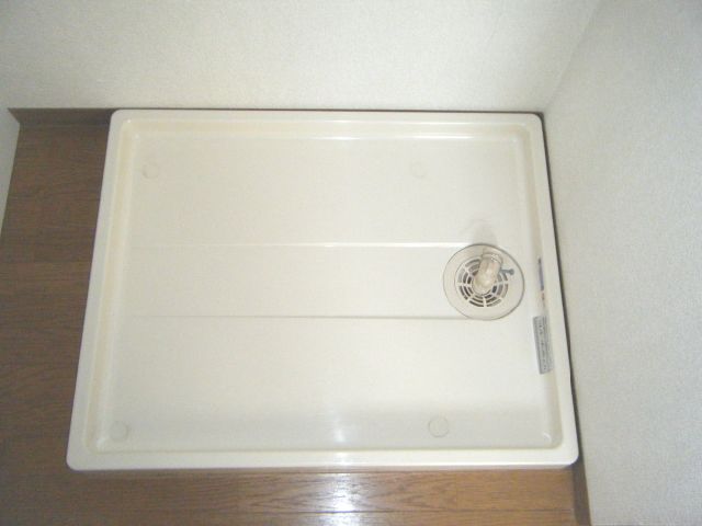 Other. It is indoor washing machine with yard.