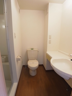 Toilet. Restroom and washroom. Stylish basin bowl.